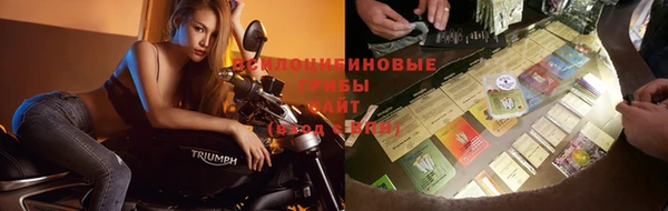 кокаин Новозыбков