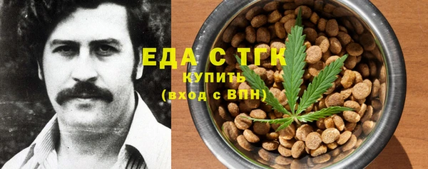 spice Гусев