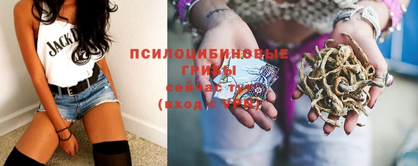 MDMA Premium VHQ Нязепетровск