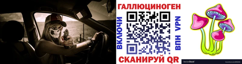 Галлюциногенные грибы Psilocybine cubensis  Ковылкино 