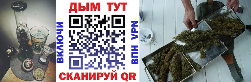 хочу наркоту  Ковылкино  Каннабис индика 